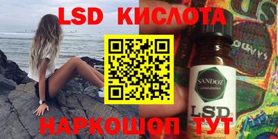 spice Тара