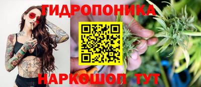spice Тара