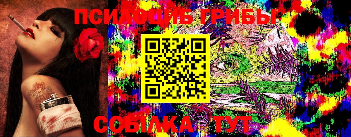 Галлюциногенные грибы Psilocybine cubensis  Вход с VPN  Торжок 